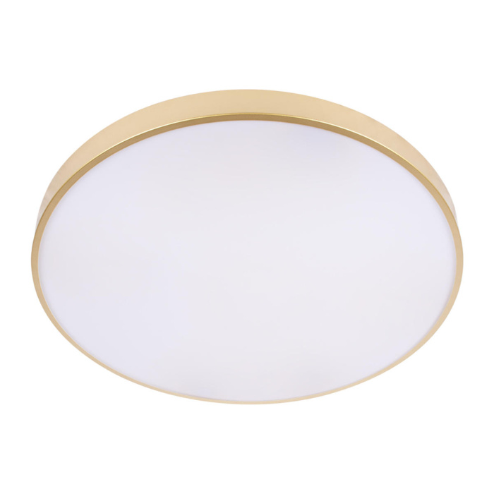 Потолочный светильник LOFT IT Flims 10228/B