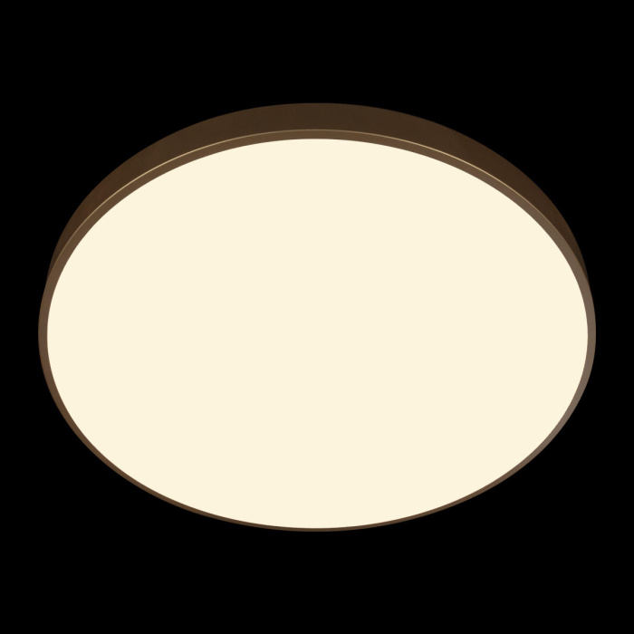 Потолочный светильник LOFT IT Flims 10228/B