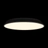 Потолочный светильник Loft it Brim 10226 Black
