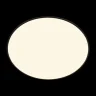 Потолочный светильник Loft it Brim 10226 Black