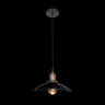 Подвесной светильник Loft it Factory filament LOFT1101