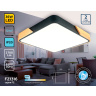 Потолочный светодиодный светильник Ambrella light FZ1316