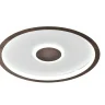 Потолочный светильник Freya Freya Orbit FR5421CL-L80BR