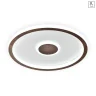 Потолочный светильник Freya Freya Orbit FR5421CL-L80BR