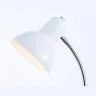 Светильник напольный с выключателем на проводе Ambrella light TR97655