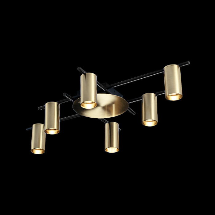 Потолочная люстра Loft it Tribes 8120C-6