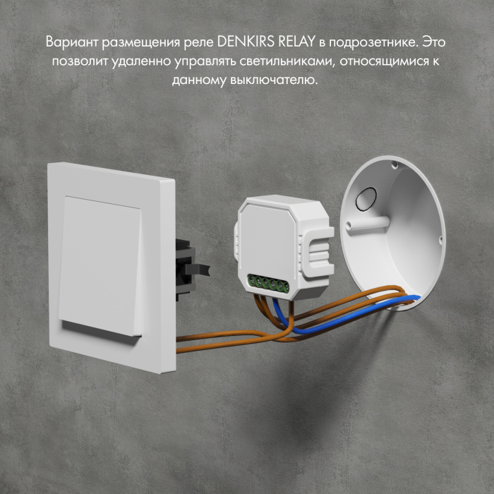 Одноканальное Wi-Fi реле-диммер Denkirs RL1003-DM/1