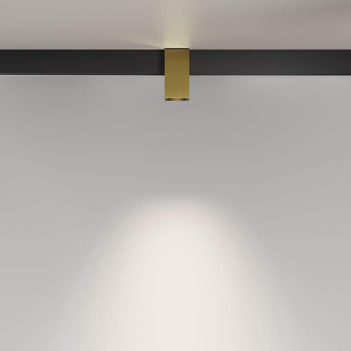 Трековый светильник Maytoni Alfa TR121-2-7W4K-BS