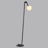 Торшер Lumion Dexter 6500/1F