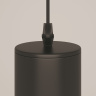Подвесной светильник Maytoni Focus P075PL-01B