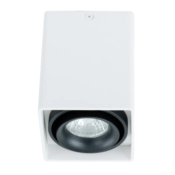 Накладной светильник Arte Lamp PICTOR A5655PL-1WH