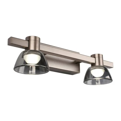 Светильник настенный Aployt Rezeda APL.788.01.02