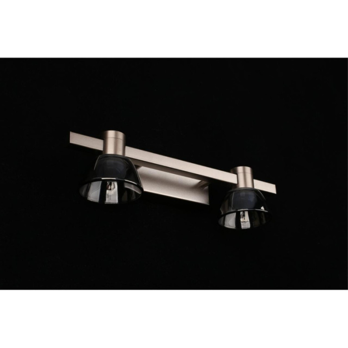 Светильник настенный Aployt Rezeda APL.788.01.02