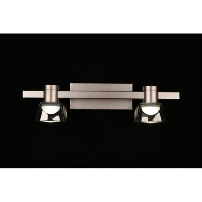 Светильник настенный Aployt Rezeda APL.788.01.02