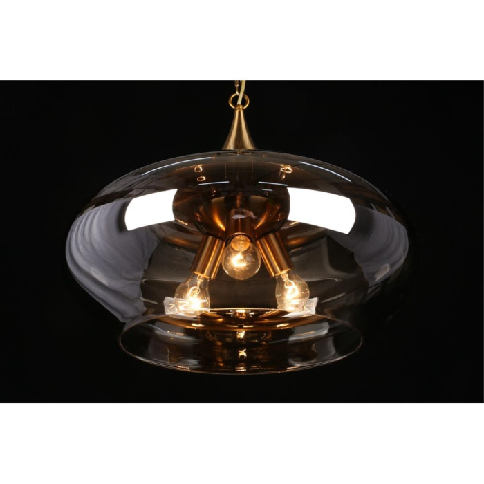 Светильник подвесной Aployt Franko APL.601.16.03