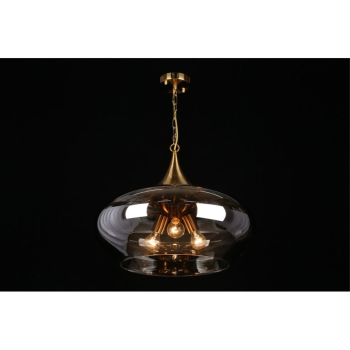 Светильник подвесной Aployt Franko APL.601.16.03