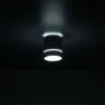 Светильник накладной Citilux Борн CL745010N
