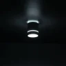 Светильник накладной Citilux Борн CL745010N