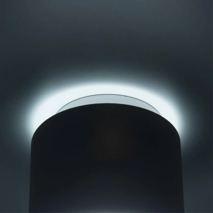 Светильник накладной Citilux Борн CL745010N