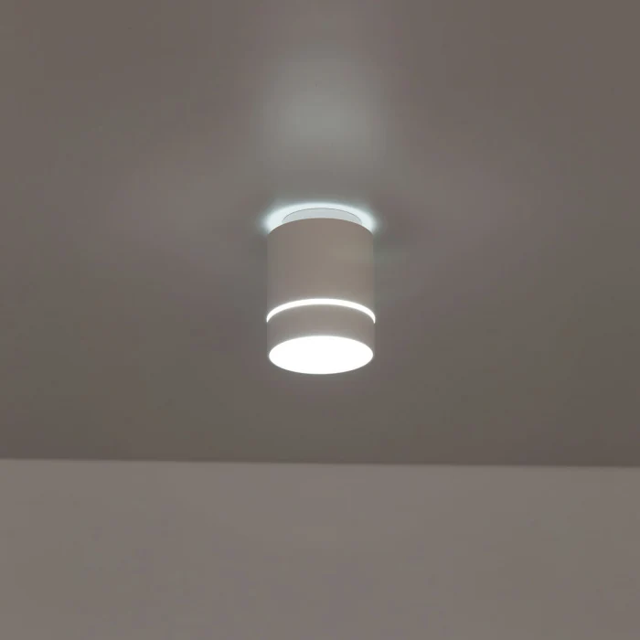 Светильник накладной Citilux Борн CL745010N