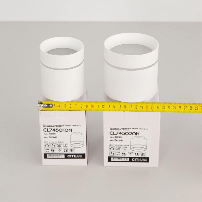 Светильник накладной Citilux Борн CL745010N