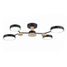 Потолочный светодиодный светильник Ambrella Light FL4860