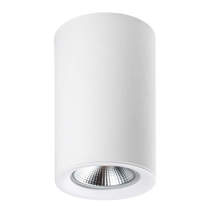 Насадка торцевая на светильник Lightstar Rullo 204436