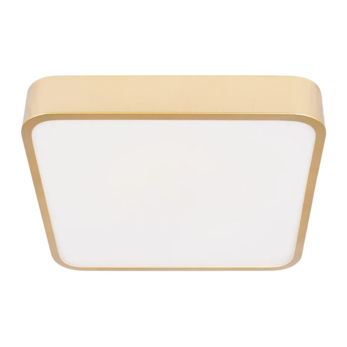 Потолочный светильник LOFT IT Flims 10228/C