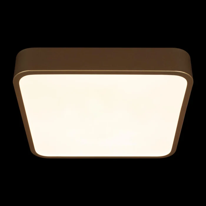 Потолочный светильник LOFT IT Flims 10228/C