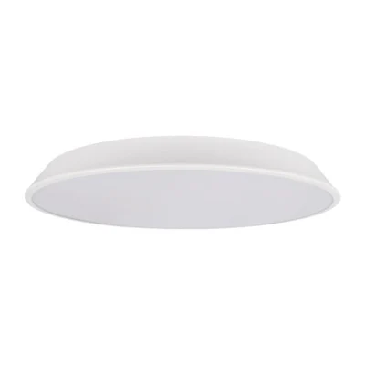 Потолочный светильник Loft it Brim 10226 White