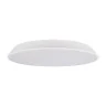 Потолочный светильник Loft it Brim 10226 White