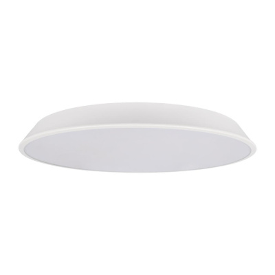 Потолочный светильник Loft it Brim 10226 White