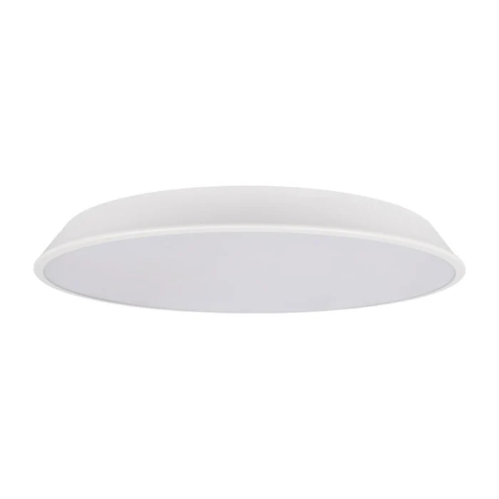 Потолочный светильник Loft it Brim 10226 White