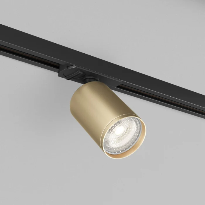 Светильник на шине Denkirs TUBE DK6201-BG