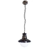 Уличный подвесной светильник Arte Lamp AMSTERDAM A1523SO-1BN