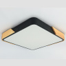 Потолочный светодиодный светильник Ambrella light FZ1317