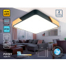 Потолочный светодиодный светильник Ambrella light FZ1317