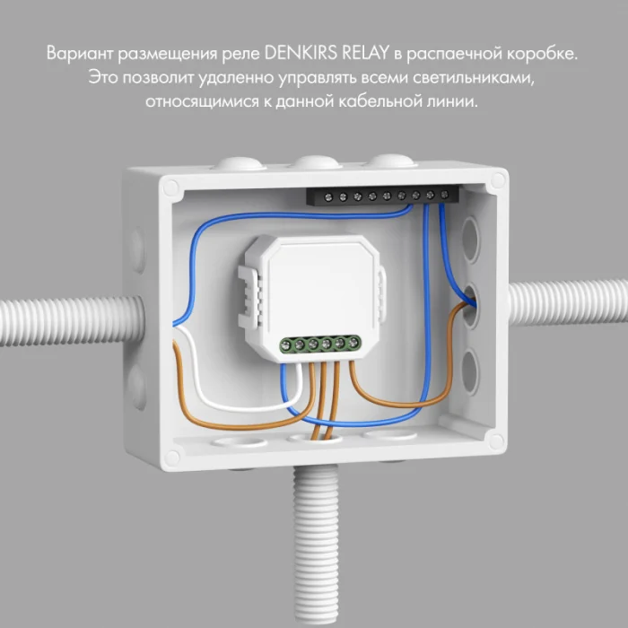 Двухканальное Wi-Fi реле-диммер Denkirs RL1004-DM/1