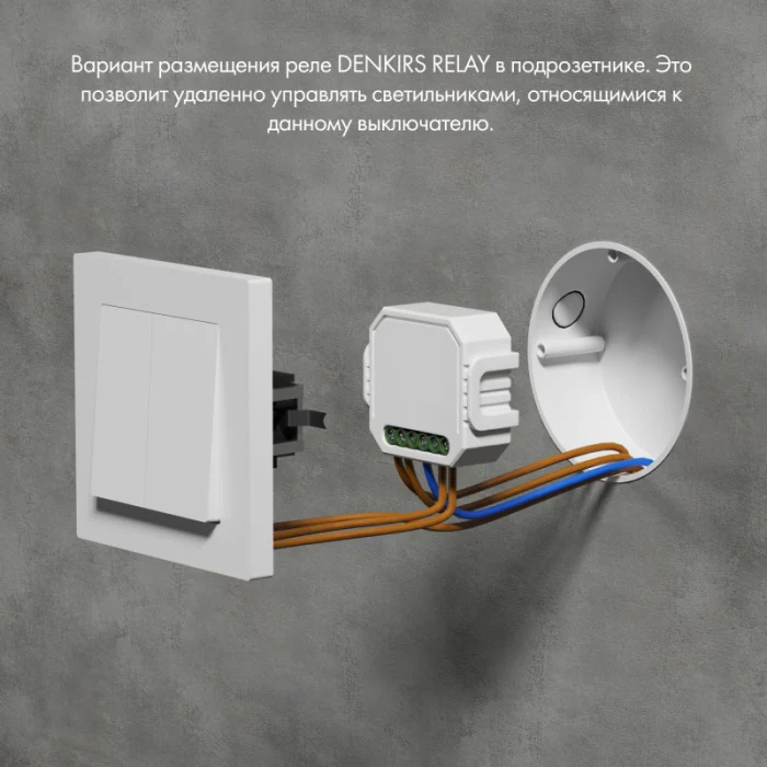 Двухканальное Wi-Fi реле-диммер Denkirs RL1004-DM/1