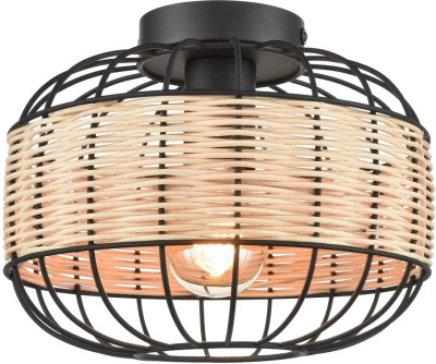 Потолочный светильник VELANTE 563-717-01