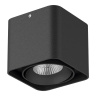 Накладной светильник Monocco LIGHTSTAR 212517