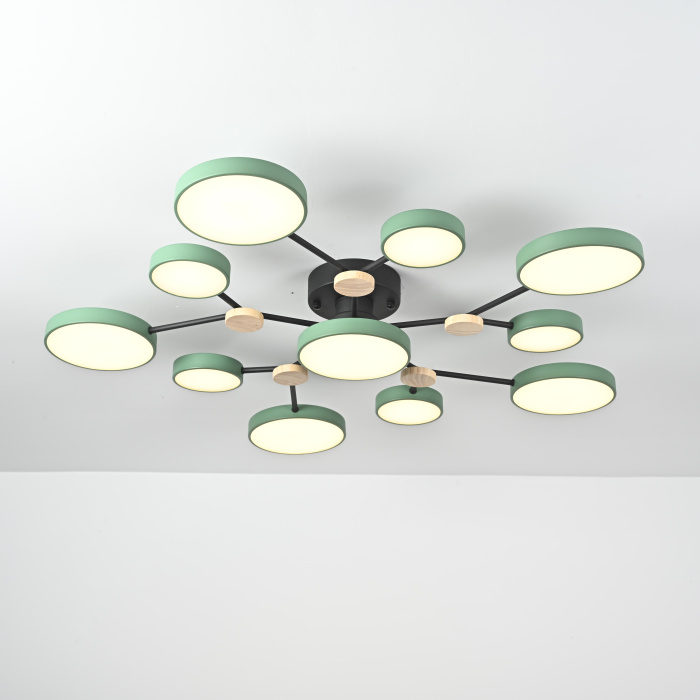 Потолочная люстра GAMMA D102 Green ImperiumLoft