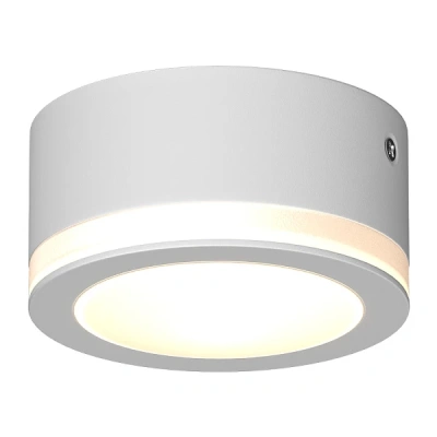 Накладной светильник Ledron SDL06-R80-3100K White