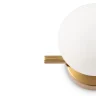 Настенный светильник Freya Blossom FR5259WL-01BS