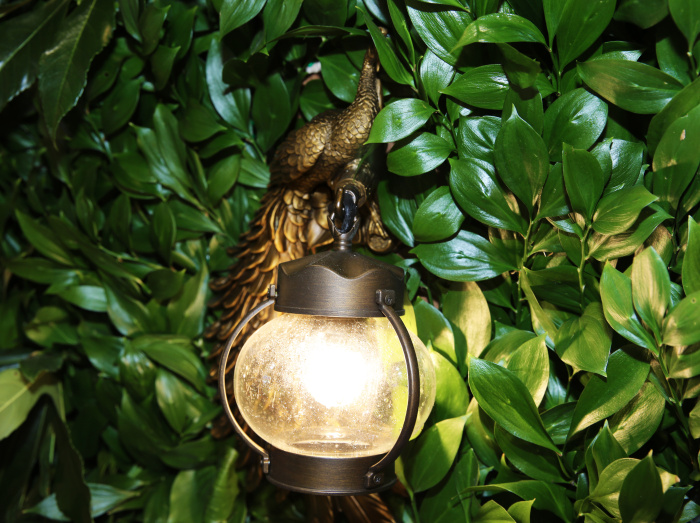 Уличный настенный светильник Favourite Hunt 2081-1W