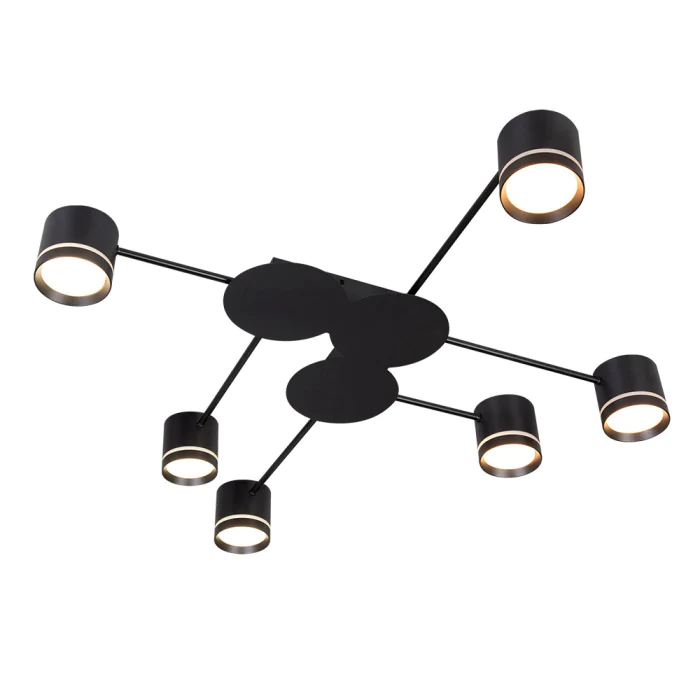 Потолочный светильник Arte Lamp LEGACY A8024PL-6BK