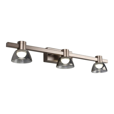 Светильник настенный Aployt Rezeda APL.788.01.03