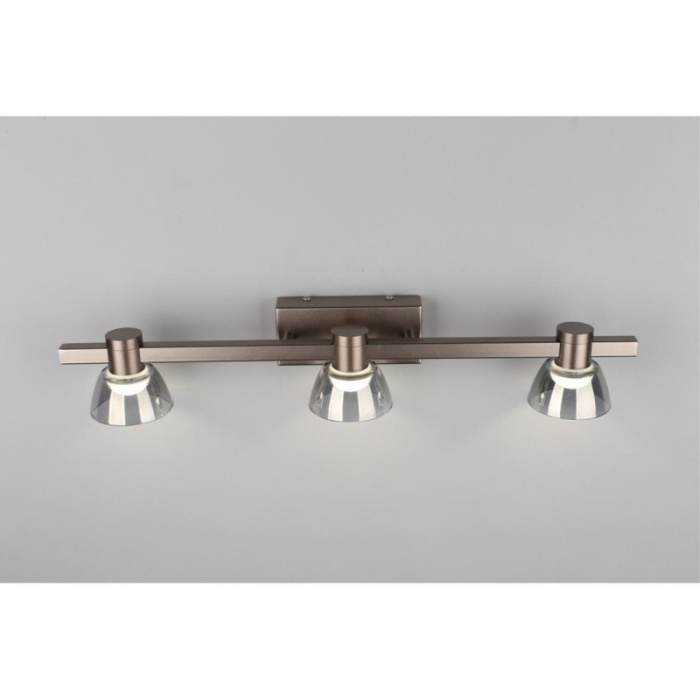 Светильник настенный Aployt Rezeda APL.788.01.03