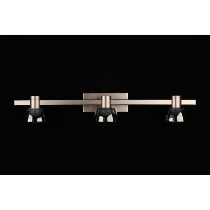 Светильник настенный Aployt Rezeda APL.788.01.03