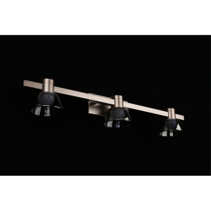 Светильник настенный Aployt Rezeda APL.788.01.03